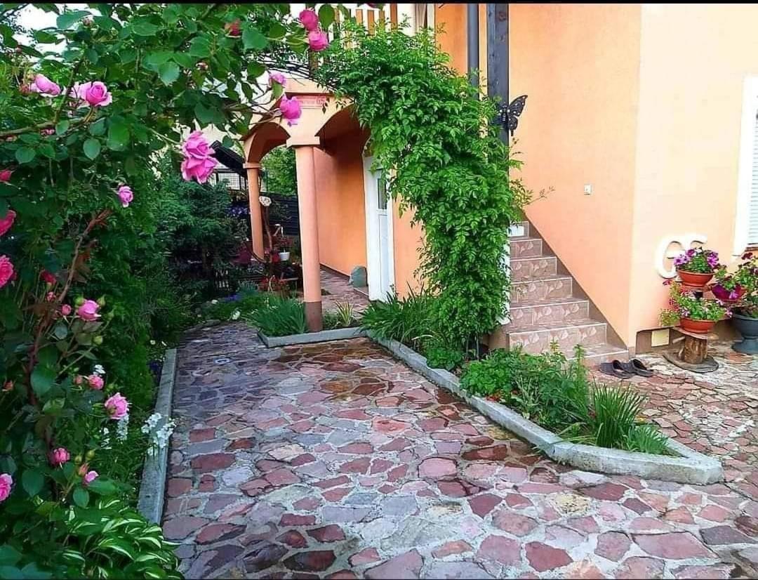 Apartmani GS ***** Zavidovici Exterior foto